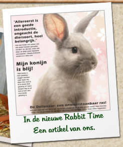 In de nieuwe Rabbit Time Een artikel van ons.